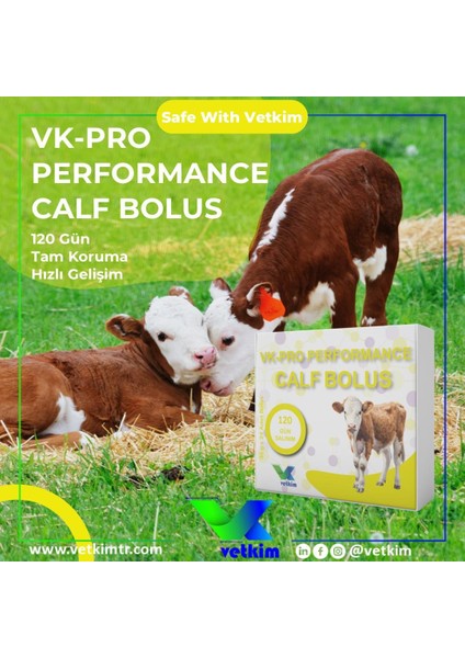 Vk-Pro Performance Calf Bolus - 4 Adet 30 gr