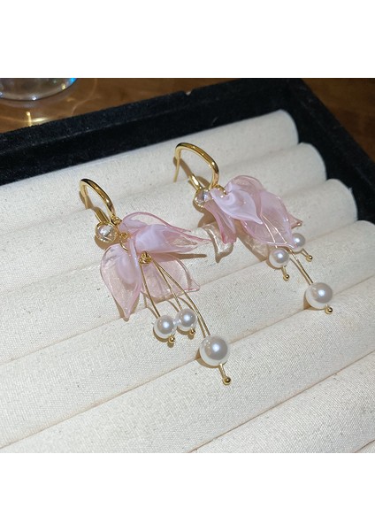 Yeni Broş Hafif Lüks Basit Mizaç Sabit Giysi Pin Takım Elbise Kolye Bilezik Şapkalar Sınıf Giyim Aksesuarları (Yurt Dışından)