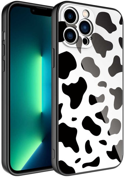 iPhone 12 Pro Max Kılıf Kamera Korumalı Desenli Sert Silikon Scks Epoksi Kapak-No7