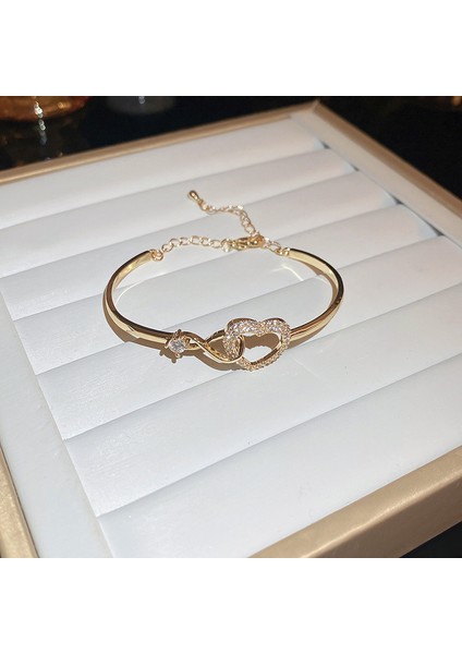 Yeni Zirkon Bilezik Süper Flaş Bilezik Mizaç Moda Broş Zarif Işık Lüks Kişilik Dekorasyon Broş Retro Moda Broş Sınıf Mücevher Ürünleri (Yurt Dışından)