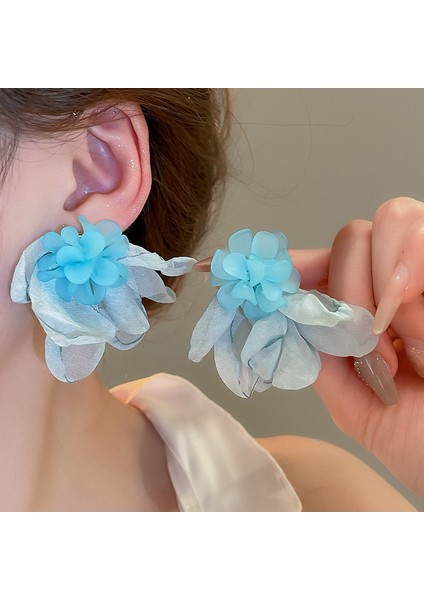 Yeni Broş Hafif Lüks Basit Mizaç Sabit Giysi Pin Takım Elbise Kolye Bilezik Şapkalar Sınıf Giyim Aksesuarları (Yurt Dışından)