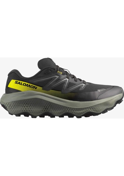 Ultra Flow 2 Gore-Tex Erkek Koşu Ayakkabısı Black L47883200