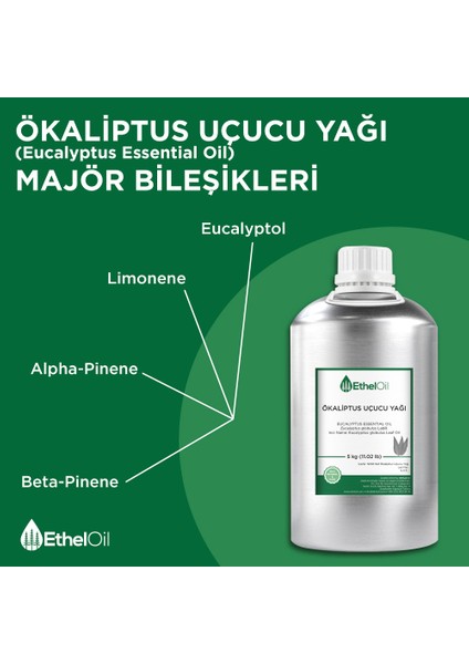 Ökaliptus Uçucu Yağı - Etheloil - 5 kg - %100 Saf ve Doğal Uçucu Yağ -Üretici Firma, Yüksek Kalite, Toptan Satış - Eucalyptus Essential Oil - Eucalyptus Globulus Labill. fırsatları