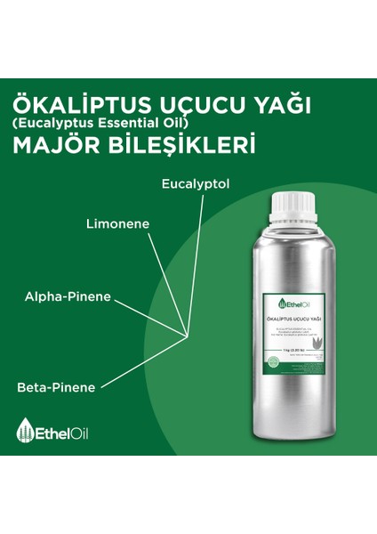 Ökaliptus Uçucu Yağı - Etheloil - 1 kg - %100 Saf ve Doğal Uçucu Yağ -Üretici Firma, Yüksek Kalite, Toptan Satış - Eucalyptus Essential Oil - Eucalyptus Globulus Labill. fırsatları