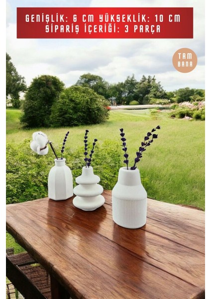 Beyaz Dekoratif Vazo Seti Obje Ev Dekorasyon Masa Üstü Dekor Vazo Seti Model 1011