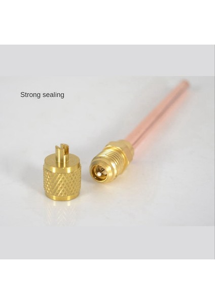 10 Adet Erişim Vanası 1/4 Inç Sae 1/4 Inç Od 2.755 Inç Gövde Güçlü Çekirdek Ac Klima Soğutma Erişim Vanası (Yurt Dışından) fırsatları