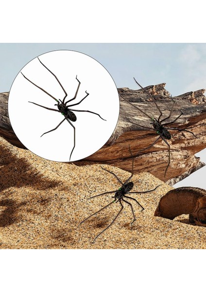 Örümcek Buzdolabı Mıknatısı, Gerçekçi Örümcek Mıknatısları, Buzdolabı, Garaj Kapısı Veya Araba Için Sevimli Örümcek Tasarım Süslemeleri (Yurt Dışından) modelleri