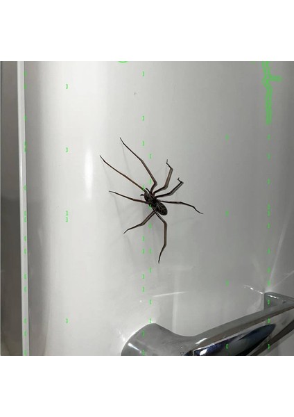 Örümcek Buzdolabı Mıknatısı, Gerçekçi Örümcek Mıknatısları, Buzdolabı, Garaj Kapısı Veya Araba Için Sevimli Örümcek Tasarım Süslemeleri (Yurt Dışından) indirimleri