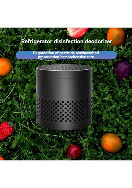 Buzdolabı Gardırop Ayakkabı Dolabı Dolap Arabalar Evcil Hayvanlar Için Koku Giderici Ch-Cut Ev Için Koku Giderici Aktif Karbon B (Yurt Dışından) fiyatları