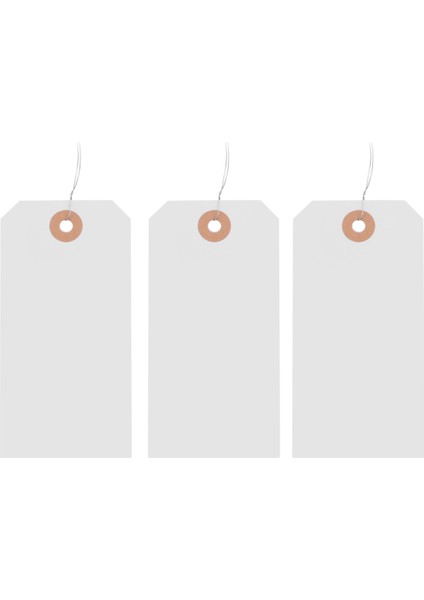 125 Adet Takviyeli Delikli ve Telli Askılı Etiket, Etiketleme Için Önceden Takılmış Tel Karton 4 3/4 x 2 3/8 Inç (Yurt Dışından)