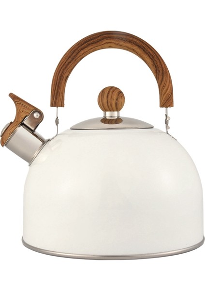 Çaydanlık, Ocak Üstü Için 2,5 L Paslanmaz Çelik Düdüklü Çaydanlıklar, Saplı, Yüksek Sesli Düdük ve Paslanmaz Hızlı Kaynama (Yurt Dışından) fiyatları