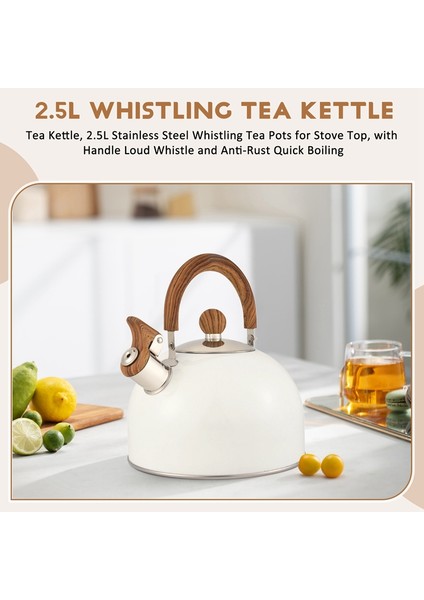 Çaydanlık, Ocak Üstü Için 2,5 L Paslanmaz Çelik Düdüklü Çaydanlıklar, Saplı, Yüksek Sesli Düdük ve Paslanmaz Hızlı Kaynama (Yurt Dışından) indirimleri