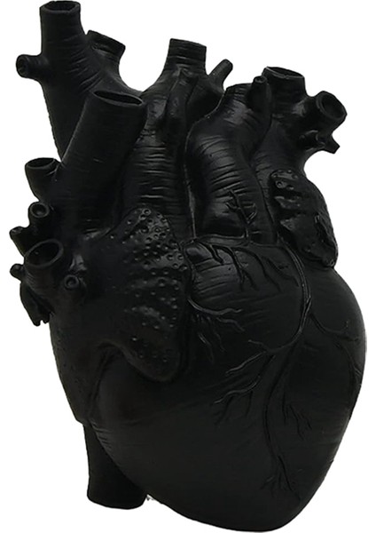 Çiçekler Için Anatomik Kalp Vazolar Özelleştirilmiş Heykel Şekilli Reçine Sanat Vazo Masaüstü Ev Dekorasyonu (Yurt Dışından) fırsatları