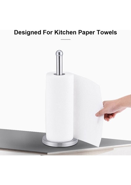 Tezgah Üstü Paslanmaz Çelik Kağıt Havluluk, Standart Kağıt Havlu Ruloları Için Ağır Tabanlı Yırtık Mutfak Kağıt Havlusu (Yurt Dışından) fırsatları