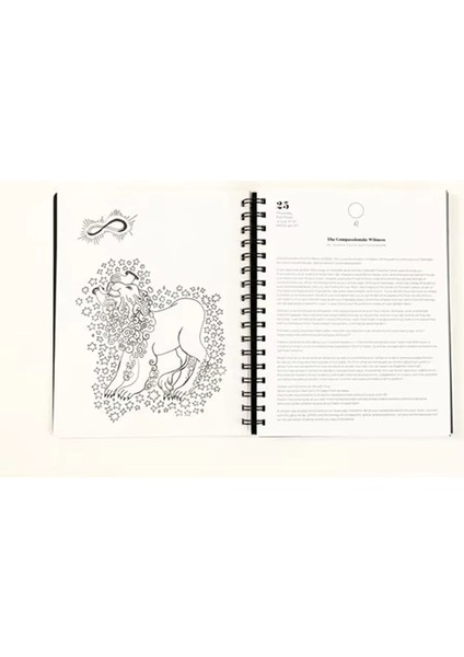 2025 Birçok Ay Ay Planlayıcısı, Cadılar Için Ay Planlayıcısı, Büyülü Ay Planlayıcısı, Aylı 2025 Planlayıcı Defteri (Yurt Dışından) fırsatları