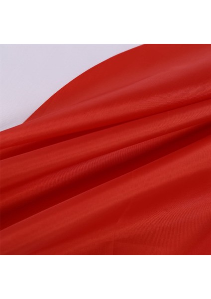 Japonya Bayrağı Japon Polyester Dış Mekan Bayrağı Tebrikler 90 x 150 cm (Yurt Dışından)