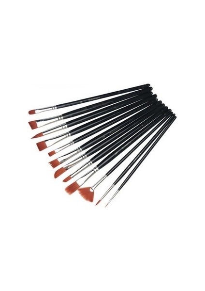 12 Parçalı Suluboya Fırçası ve Yağlı Boya Seti Seti (Yurt Dışından)