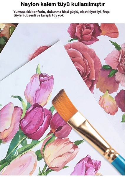 12 Parçalı Suluboya Fırçası ve Yağlı Boya Seti Seti (Yurt Dışından) modelleri