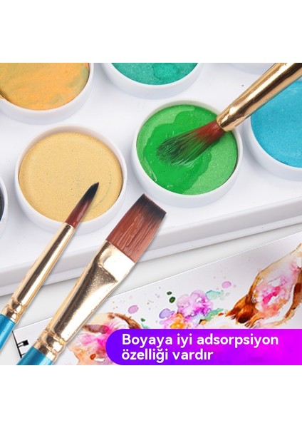 12 Parçalı Suluboya Fırçası ve Yağlı Boya Seti Seti (Yurt Dışından) fırsatları