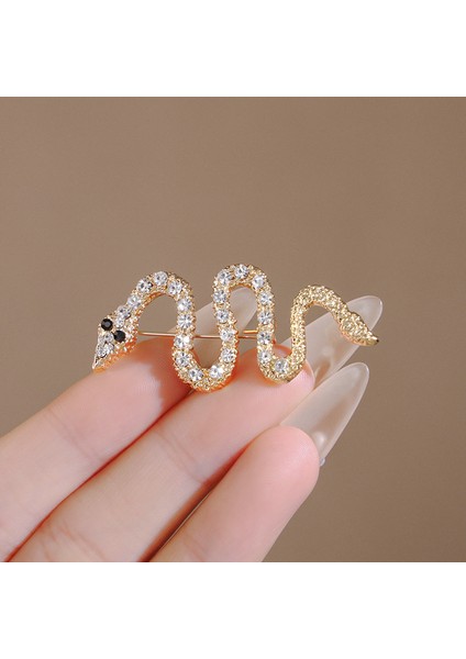 Yeni Broş Hafif Lüks Basit Mizaç Sabit Giysi Pin Takım Elbise Kolye Bilezik Şapkalar Sınıf Giyim Aksesuarları (Yurt Dışından)