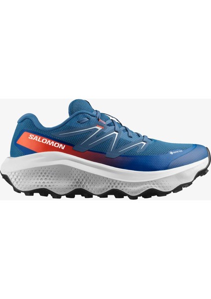 Ultra Flow 2 Gore-Tex Erkek Koşu Ayakkabısı