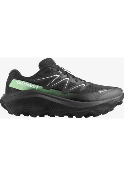 Ultra Flow 2 Gore-Tex Erkek Koşu Ayakkabısı Black L47981400