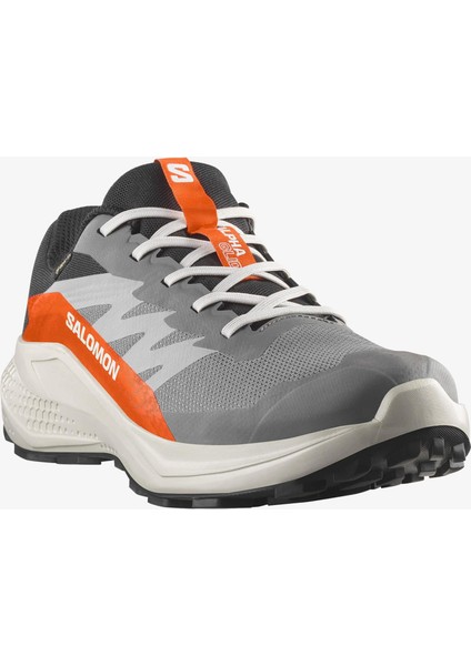 Alphaglıde Gore-Tex Erkek Koşu Ayakkabısı Castlerock L47975300 fiyatları
