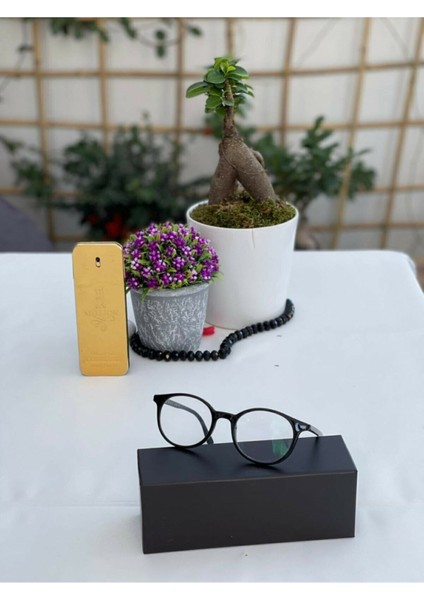 Mavi Işık Koruyucu Derecesiz Ekran ve Bilgisayar Gözlüğü T66