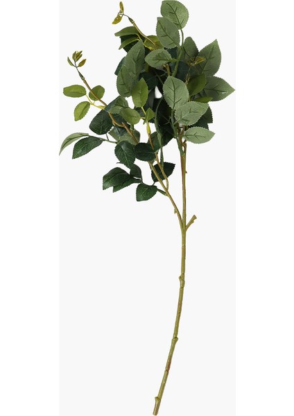 Gül Yaprak Dal 55 cm