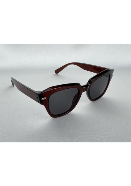 Venüs Kahve Güneş Gözlüğü Wayfarer Siyah Cam Renkli modelleri