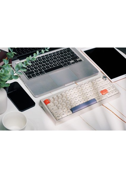 V65 V2 Kablosuz/kablolu Mekanik Klavye Vıa Programlanabilir Yazılım LED Alüminyum Cnc Gövde, Win/mac modelleri