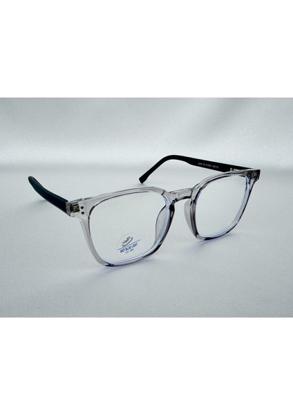 Arin Mavi Işık Korumalı Gri Ekran Gözlüğü Camları Değişebilir Unisex Kadın Erkek modelleri