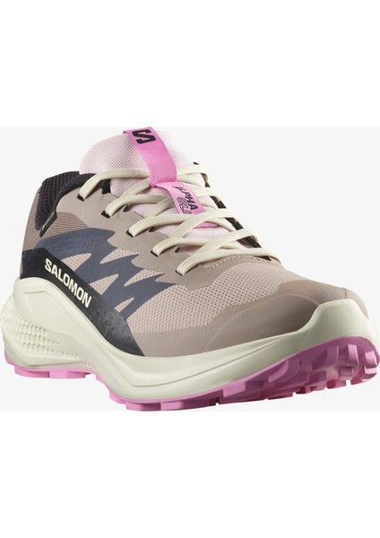 Alphaglıde Gore-Tex Kadın Koşu Ayakkabısı Etherea L47857900 modelleri