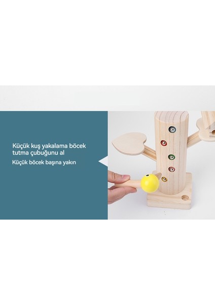 Ahşap Ağaçkakan Çocuklar Için Eğitici Oyuncaklar (Yurt Dışından) fırsatları
