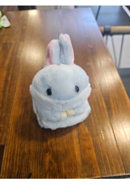 Hayvan Figürlü Anahtarlık (10 cm)