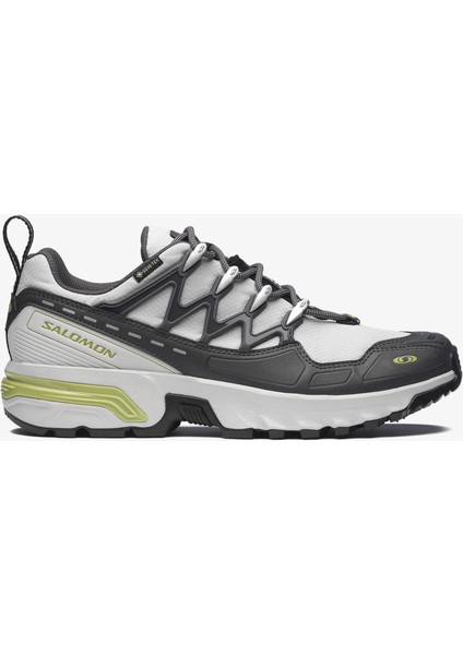 Acs+ Gore-Tex Unisex Sneaker Gray Violet L47858100
