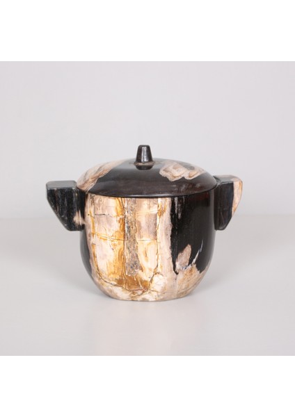 Mylamp Nuria Fosil Ağaç Kapaklı Dekoratif Kase 17X25X10 cm fırsatları