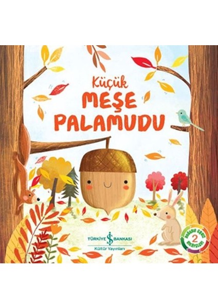 Küçük Meşe Palamudu Doğanın Eşsiz Hikayeleri 2