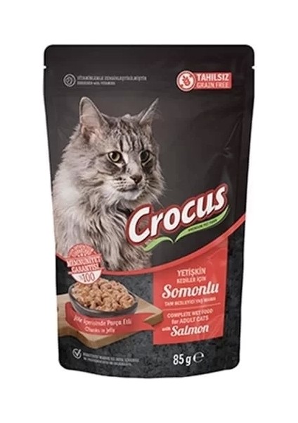Crocus Tahılsız Pouch Jöleli Somonlu Yavru Konserve Kedi Maması 85 gr