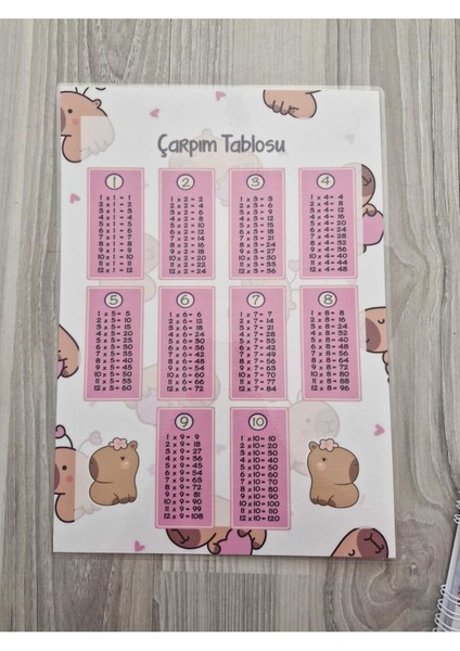 Capy Temalı Pembe Pvc Çarpım Tablosu ve A5 Not Defteri fiyatları