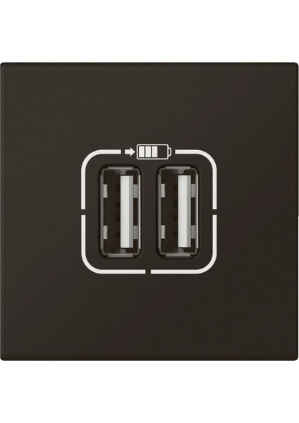 079194L Ikili USB Şarj Prizi A Tipi 230 V , 5V Dc , 2.4 A - Siyah-