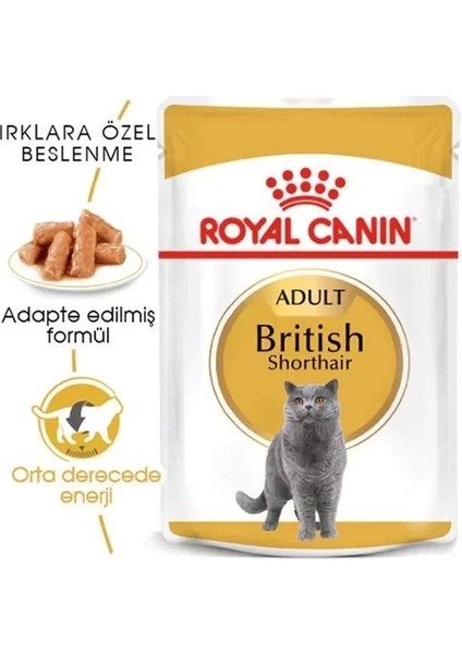 Royal Canin British Shorthair Adult Pouch Konserve Kedi Maması 85 gr fiyatları