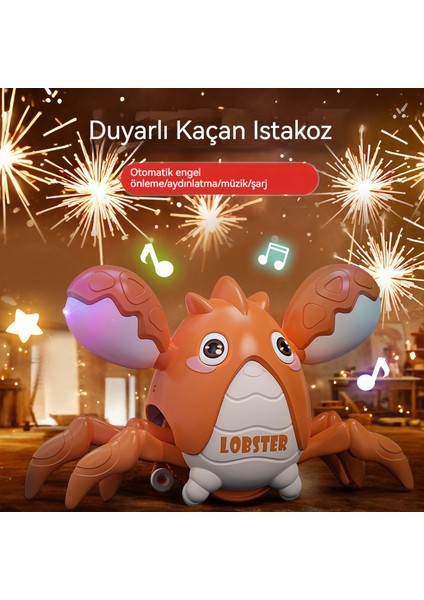 Elektrikli Indüksiyon Yengeç Kaçıyor (Yurt Dışından) fiyatları