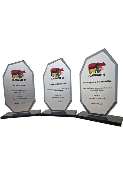 Özcan Tasarım Öğretmene Plaket - Kişiye Özel Plaket - Cam Plaket - Kristal Plaket fiyatları