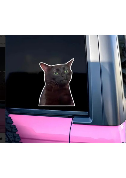 Komik Siyah Kedi Sticker – Araç, Laptop, Cam ve Düz Yüzeyler Için
