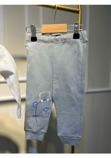 Gri Bear Ayılı 3 Lü Erkek Alt-Üst Takım fiyatları