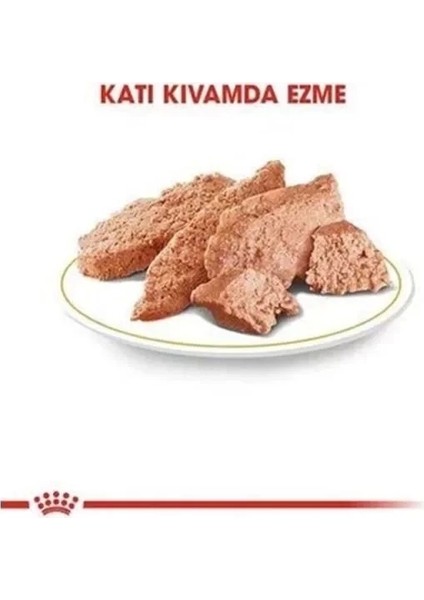 Royal Canin Persian Adult Iran Kedisi Pouch Konserve Kedi Maması 85 gr indirimleri