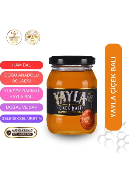 Yayla Çiçek Balı (Ham Bal) 225 gr fiyatları