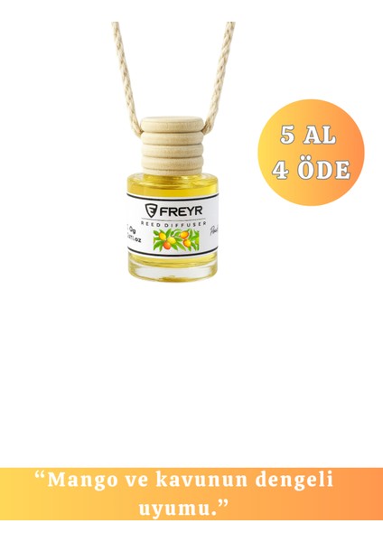 Oto Kokusu Ip Askılı Araç Kokusu Uzun Süre Kalıcı Mangokavun Araba Kokusu 8ml
