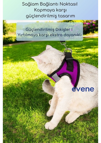 Kedi Tasması Göğüs Boyun Tasma Sevk Kayışlı Terletmeyen Nefes Alan Kumaş Reflektörlü